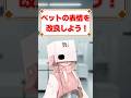 ペットの表情を改良しよう!#vtuber #新人vtuber #個人勢vtuber #vtuber準備中 #shorts
