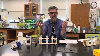Experimental Set-up: The Effect of Sugar Concentration on Yeast Cell Growth and Survival