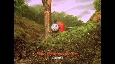 James Confronts the Tree