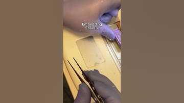 Embedding Shrimp on the HistoDream EW Embedding Center  #histology #pathology #tissueprocessing #sci