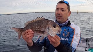 Fishing port phillip bay before the stay at home victoria state
government implemented stage 3 restrictions. can i go in victoria.
i...