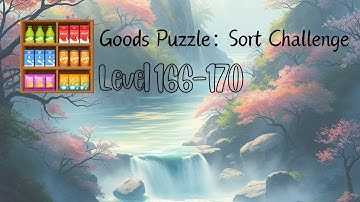 Goods Puzzle: Sort Challenge : Level 166~170 Gameplay