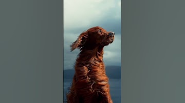 Solitude Is the Norm | Embrace the Beauty of Being Alone 🌿✨ | Life in a Blink #healingscenery