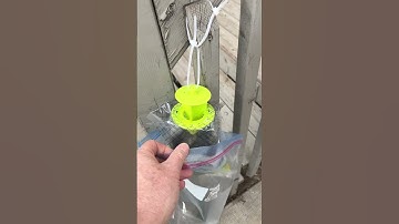 Quick & Clean: Disposing of Stinky Fly Trap Bag #FlyTrapHack #CleanDisposal #HomeHacks #pestcontrol
