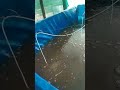 biofloc fish farming || floc density