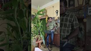 Lambada  Kaoma  Instrumental Cover