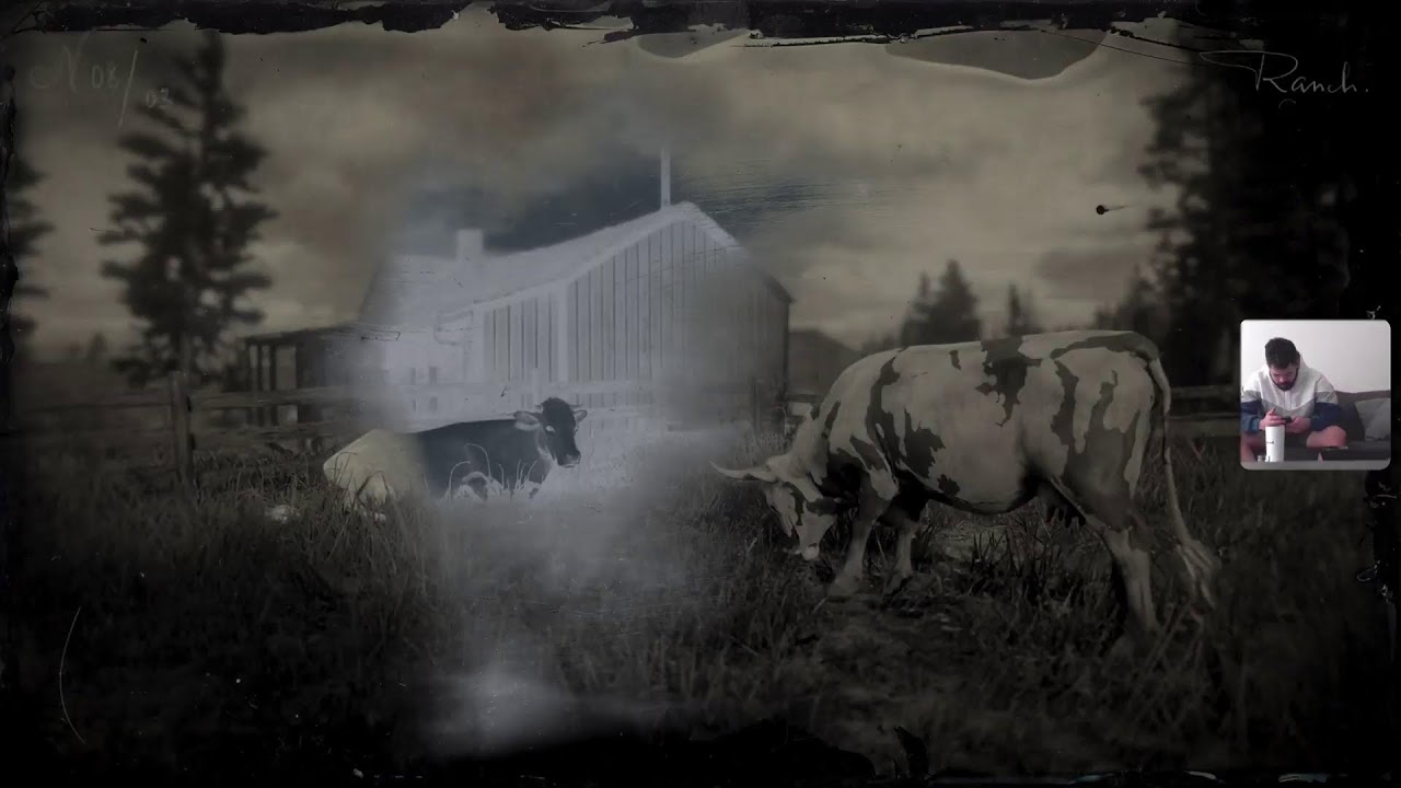 Red dead redemption 2 trophy skin deep