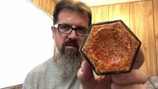 Fiendishly Hot Mustard Review