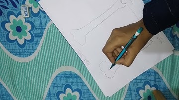 HOW TO DRAW THE TIBIA BONE  || DRAWING OF TIBIA BONE || 👍