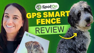 SpotOn GPS Smart Fence Review: Setup, Training & Results