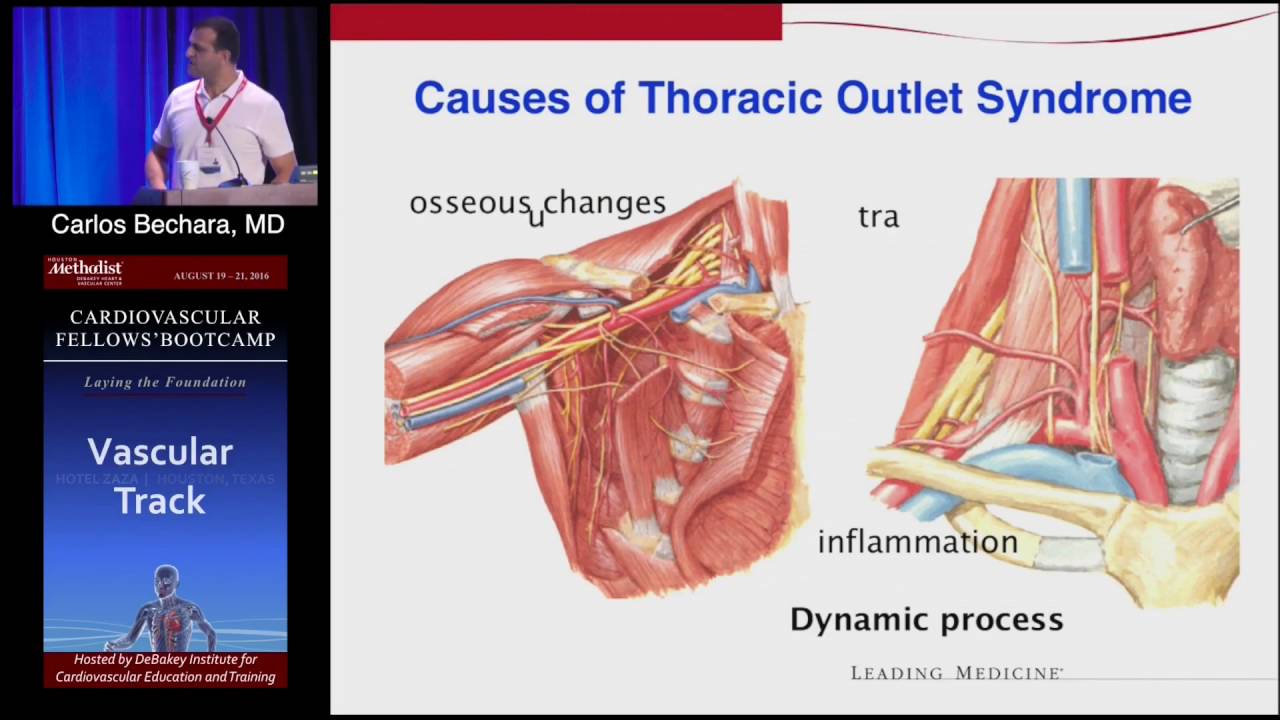 Anatomy And Physiology Carlos Bechara MD Sunday August 21 2016 
