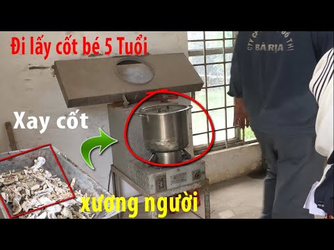 Đi Lấy Cốt Bé 5 Tuổi Bất Ngờ Trước Qúa Trình Sử Lý C.ố.t Người Sau Hỏa Táng/HOA MAI TV | Foci