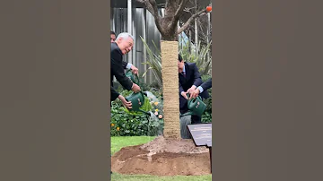 SM Lee Hsien Loong S Visit To Suzhou Nov 2024 