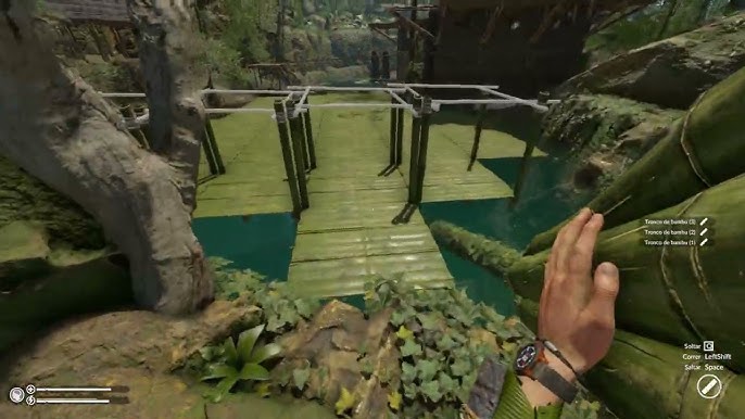 Green Hell: Jogo de sobrevivência vai se passar na Amazônia e tem trailer  divulgado! - Combo Infinito