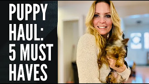 Puppy Haul - Five Must Haves for our New Yorkie Puppy #yorkie #homedaycare #yorkiemama