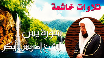 سورة يس يصوت الشيخ إدريس أبكر / تلاوات خاشعة