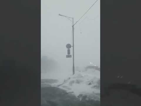 Наконец-то Камчатская погода! Юху! Мы скучали! 😆💯❤️🥶 #kamchatka #камчатка #blizzard #пурга #snow #эй