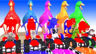 Paint \& Animals Duck, Cow, Gorilla, Goat, Lion, chicken, Elephant Fountain Crossing Super Cartoon!
