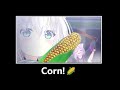 Corn 