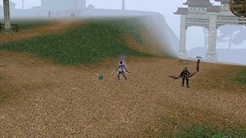 Michael Jackson(varianta Metin2)