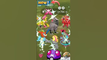 Finally I Got All✨️Shiny From Mega Community Day In Pokemon Go