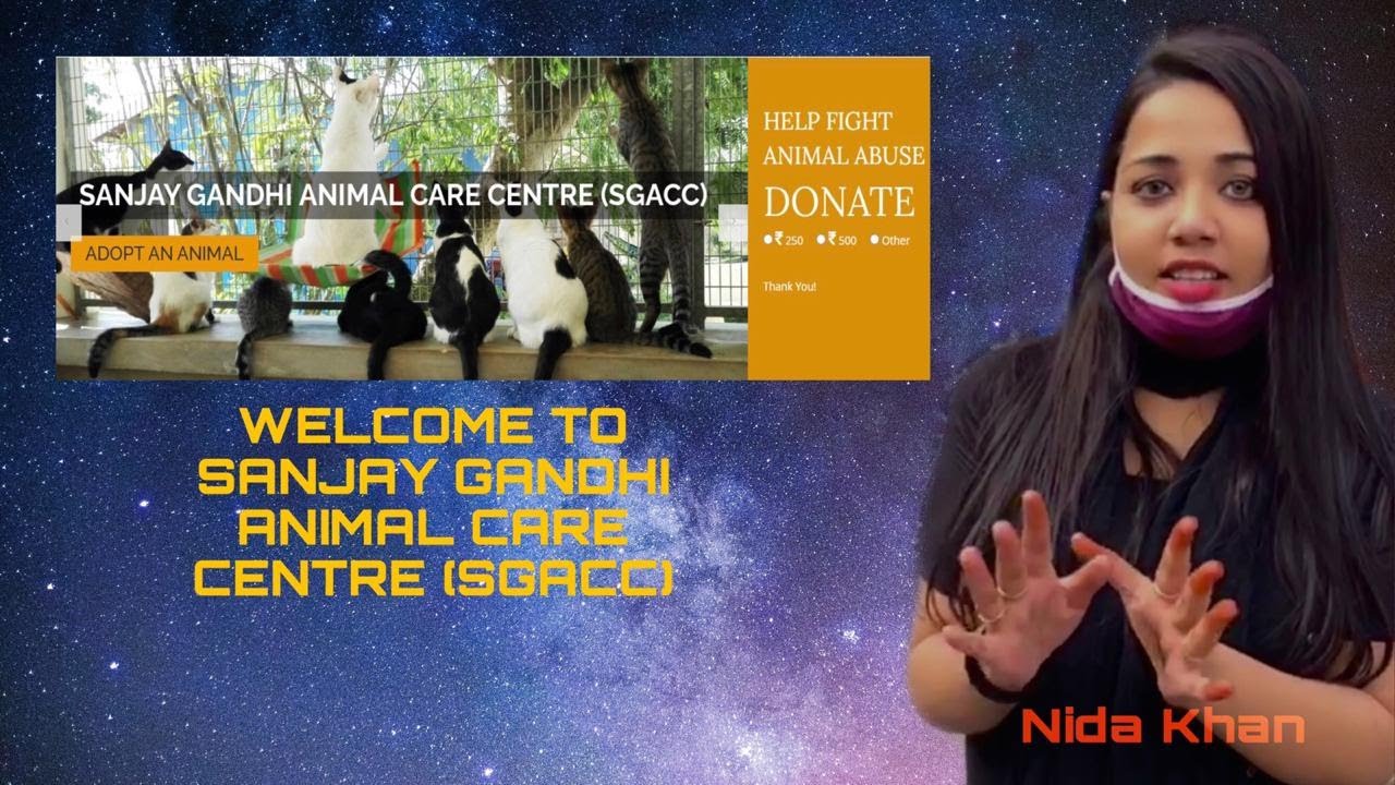Sanjay Gandhi | Animal Hospital Delhi - YouTube