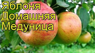 видео ПрофиЛанд - Озеленение дизайн. Озеленение благоустройство, ландшафтное озеленение, ландшафтный дизайн озеленение, озеленение территории.