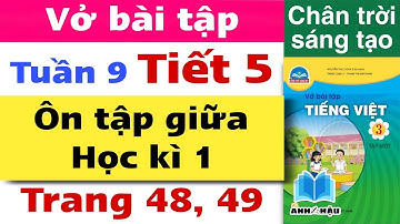 Vở bài tập Tiếng Việt Lớp 3 Tuần 9 | ÔN TẬP GIỮA HỌC KÌ 1 | TIẾT 5 | Trang 48, 49 | Chân trời sáng