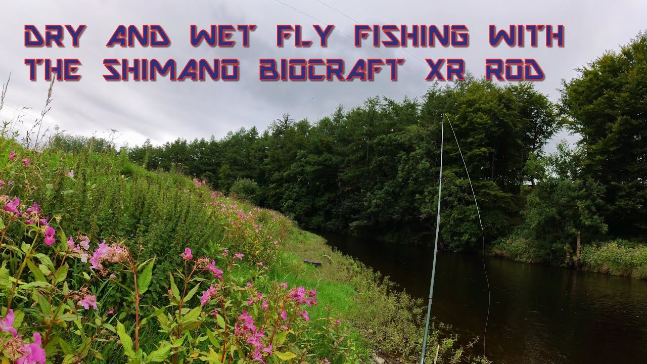 Wet and dry fly fishing using the Shimano XR rod YouTube
