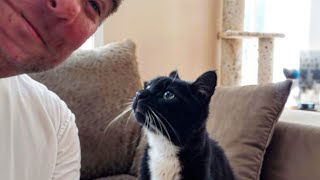 Elderly Stray Cat Cant Believe Shes Met Someone Who Will Love Her