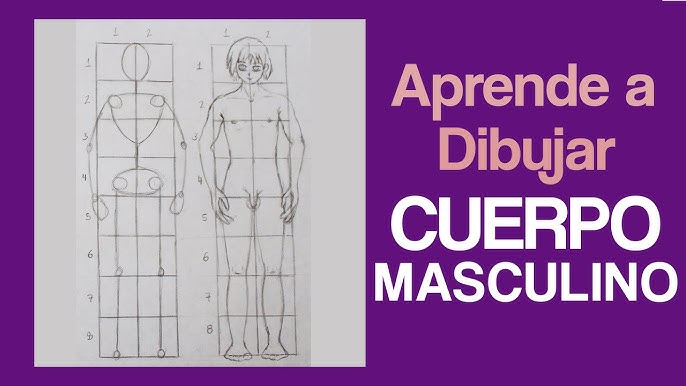 Tutorial sobre cómo dibujar un cuerpo masculino y un cuerpo femenino.