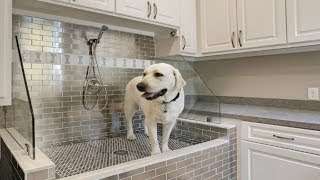 More People Are Installing Dog Showers In There Homes