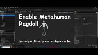 Enable Metahuman Ragdoll