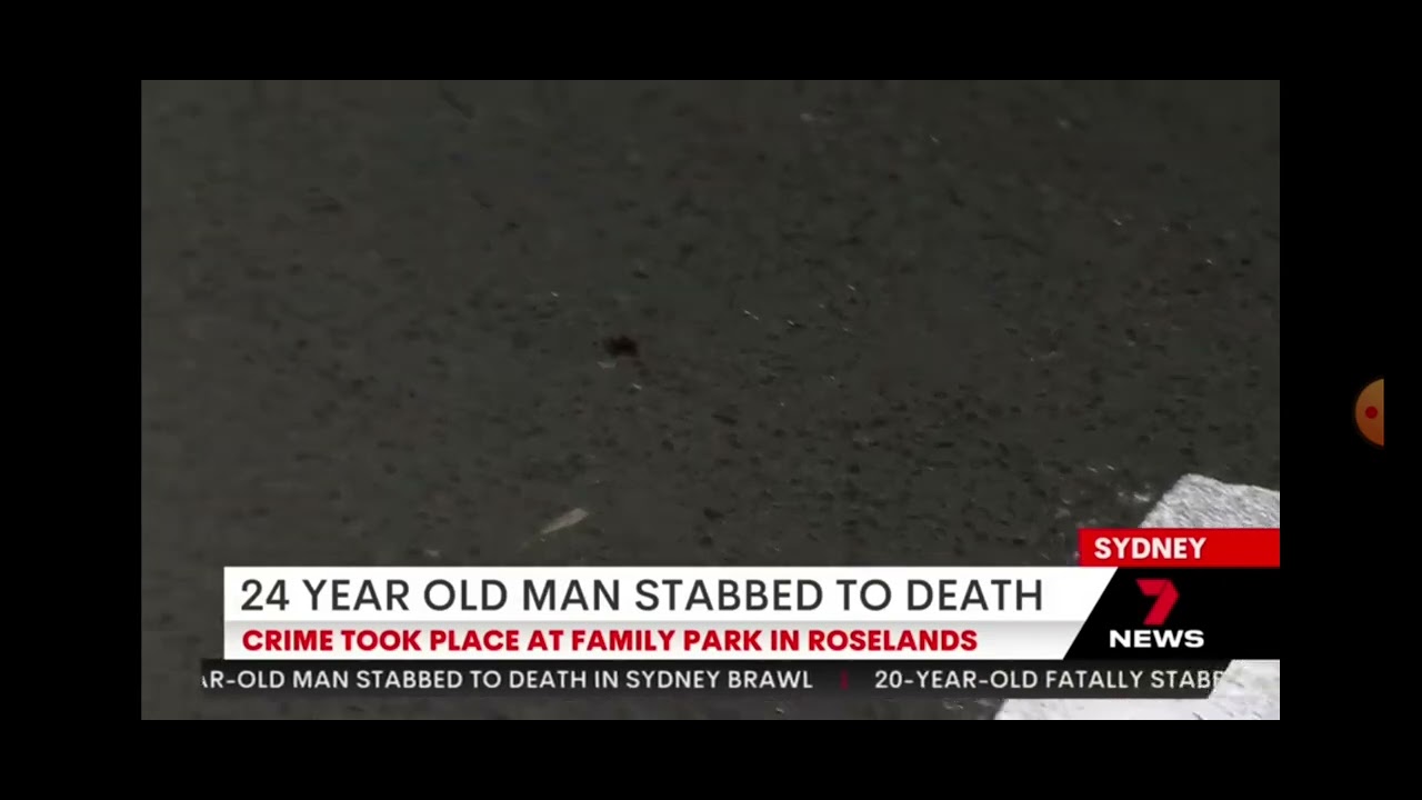 Man stabbed to death in Roselands, Sydney's south-west