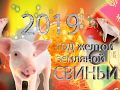 Пока часы 12 бьют! С наступающим  2019 годом!