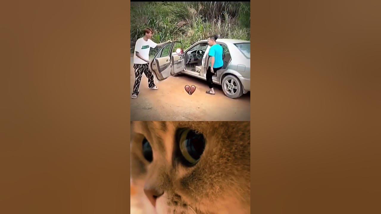 elon-musk-new-car-popular-popular-trending-catbombastic-viral