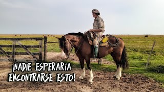 En un monte AISLADO de todo y de difícil acceso, una lujosa ESTANCIA frecuentada por la NOBLEZA