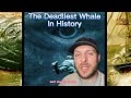 The deadliest whale in the worlds history storytime storyteller nightgod333 nightgod fyp feed