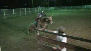 Bull Rider Fernando Magal At Knapp Ranchs Bread To Buck