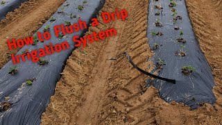 How To Flush a Surface Water Drip Irrigation System