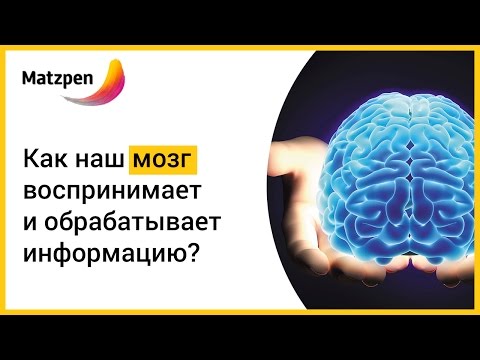 ►  Как наш мозг формирует и обрабатывает информацию?  || Мацпен