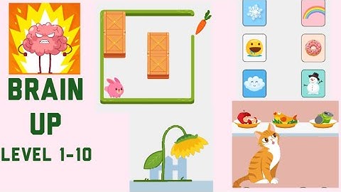 Brain Up Level 1-10 Walkthrough