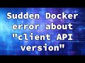 Sudden Docker error about "client API version"
