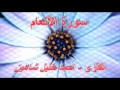 احمد خليل شاهين سورة الأنعام 1 3 