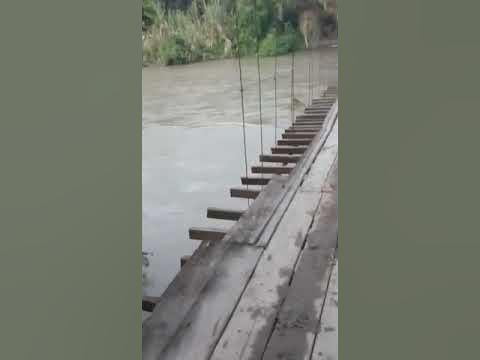 langsir sawit dijembatan gantung, yg superrrrrrrrr goyang - YouTube