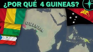 Download lagu WHY ARE THERE 4 GUINEAS?