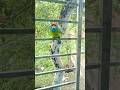 #new birds &amp; yummy dishes