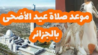 موعد صلاة عيد الأضحى  2022 في الجزائر/توقيت صلاة العيد في الجزائر وأغلب المدن الجزائر 1443ه‍