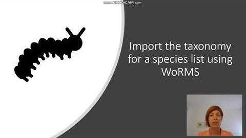 How to Import the taxonomy for a species list using WoRMS