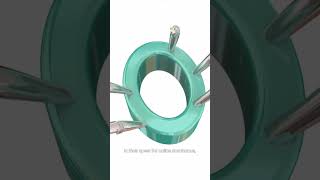 Which programming language is good for SEO?